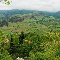 زمین مسکونی 242 متر سند تک برگ ویو ابدی کم نظیر