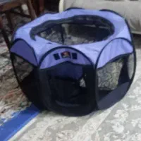 پارک سگ گربه