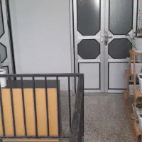 ۱۱۵ متر / بر خط نوکنده/ سند تکبرگ