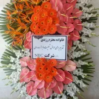 کد ۲۰تاجگل های شکیل نمایشگاهی بهترین قیمت بازار گل
