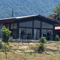 نیروی کار