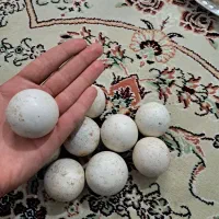 سنگ الماس آسیاب