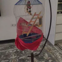 قفس بزرگ