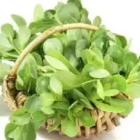 خرفه