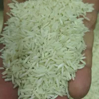 برنج ضیغم درجه یک چرداول