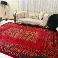 ترکمن بلوچ پلاس لاکی ۱۲متری