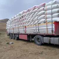 کاه کردستان دیمی گوسفندی سفید و نرم ضمانتی