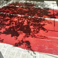 لواشک آلو و شلیل