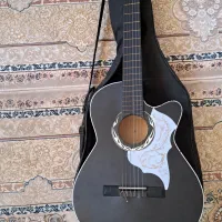 گیتار دیاموند