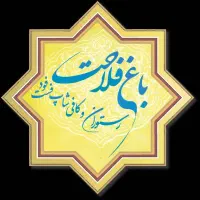 شاطر