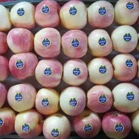 سیب گلاب (کُهنز)