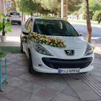 مناسبترین قیمت دیزاین ماشین عروس (پارادیس۱۰)