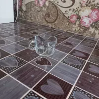 استکان شصتی فرانسه