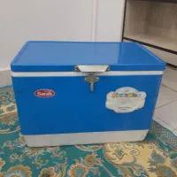 یخچال مسافرتی کلمن