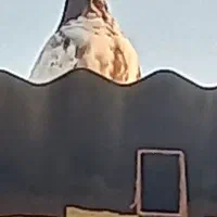 کفتر