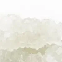نبات سفید کیلویی باز