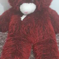خرس شاسخین آتشین