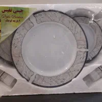 ظروف پذیرایی