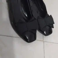 کفش مجلسی