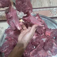 کشتار گوشت ب قیمت کشتار گاه
