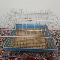 قفس  پرنده