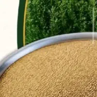 فروش بذر یونجه، حاج کوشش