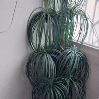 گل‌ مصنوعی‌