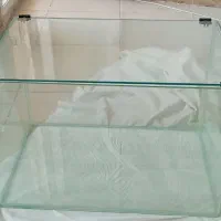 آکواریوم شیشه خم+فیلتر+تنگ ماهی+پرورشگاه ماهی