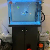 آکواریوم شرکتی  AQUA