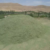 فروش علوفه( الاخ نرمه خاشو گل که وو بیشترش الاخ)