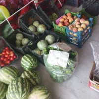 واگذاری-میوه-فروشی