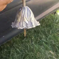زنگوله