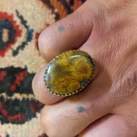 سنگ شجر قدیمی درجه یک