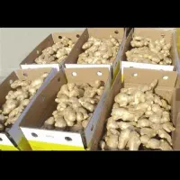 اولین مرکز پخش عمده زنجبیل چینی و هندی در شیراز