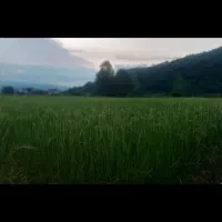 زمین-کشاورزی-1000-متری