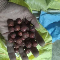عناب سیه دل و روشن