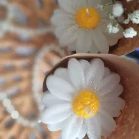 شمعهای دکوری،شمع موم عسل(بیزوکس)،شمع معطر