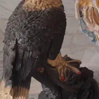 فروش ۳عددعقاب به قیمت ۱۰۰هزارتومان