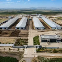 ۳.۵ هکتار مجموعه صنعتی دامداری فرصت طلایی