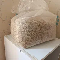 غذای ماهی کپورآمور