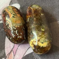 پنج جفت مهره اصلی
