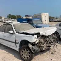 پارس تصادفی