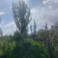 باغ ویلایی زمین صوفیان میلاد سبز