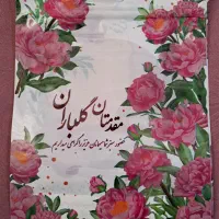 عرضه انواع ظروف یکبار مصرف گیاهی وآلومینیومی و....