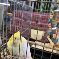 به یک ظرفشور و یک سالن کار