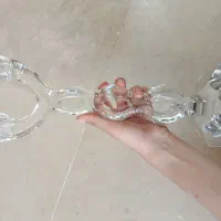 جاشمعی شیشه ای