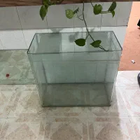 آکواریوم  به همراه میزپمپ هوا