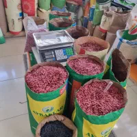 بذر آفتابگردان آیبک