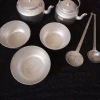 همگی نونو