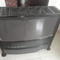 بخاری ارلوکس